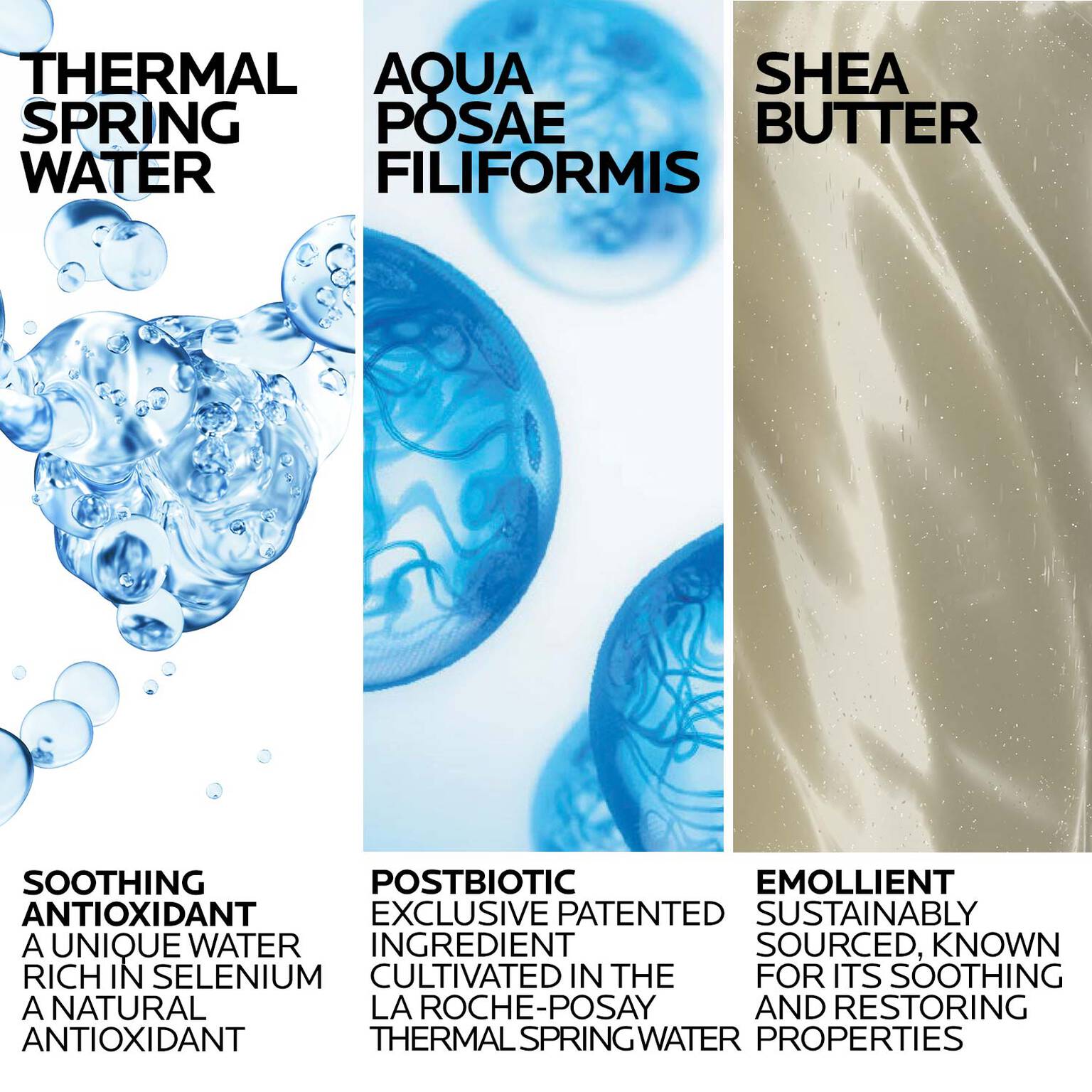 lipikar-wash-ap-moisturizing-body-and-face-wash-c9 Lipikar-Wash-ingredients_1500x1500-REV.jpg